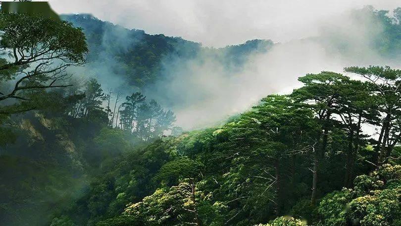 探讨神秘话题,尽在在考取教师资格证上,中职的和中学的教师资格证,两者有什么区别?交流平台